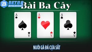 Tổng quan giới thiệu về game đánh bài 3 cây