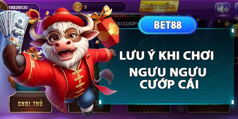 Lưu ý khi chơi ngưu ngưu cướp cái